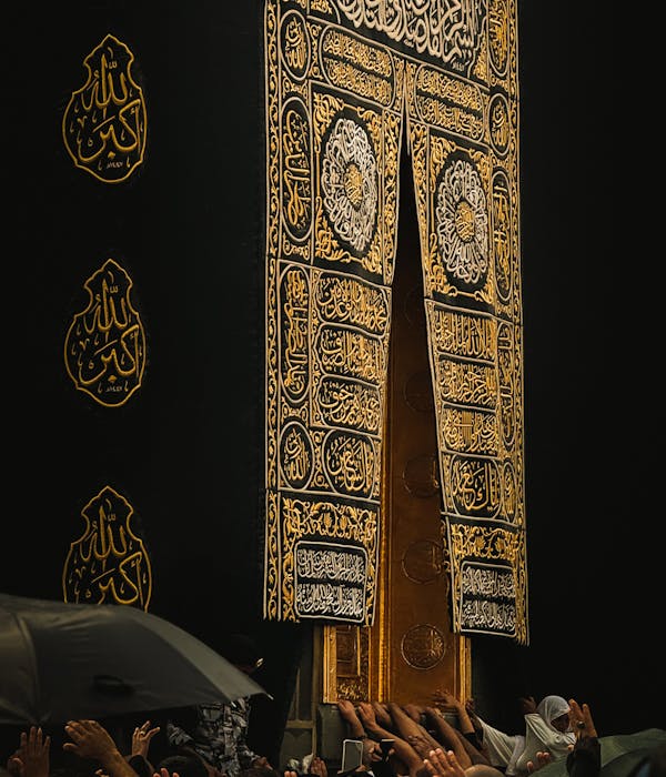 pexels-photo-34496326-2