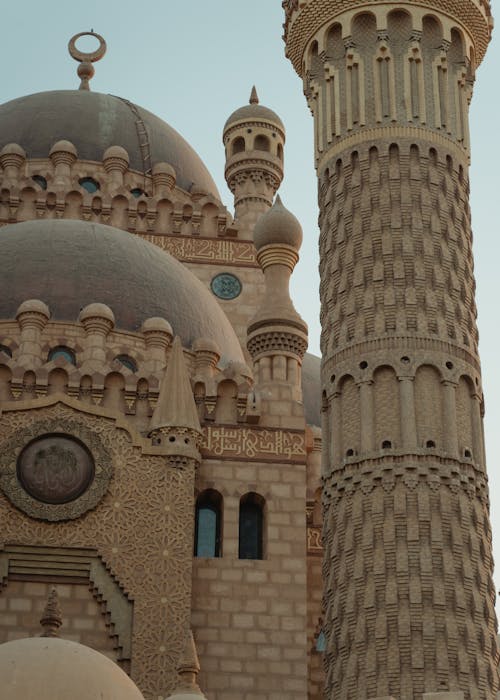 pexels-photo-5973406